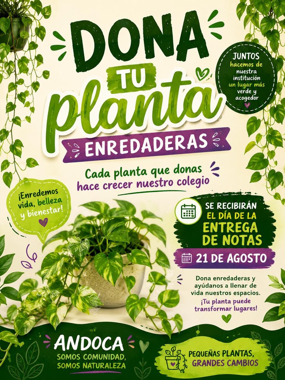 Cada planta que dones hace crecer nuestro colegio!!!